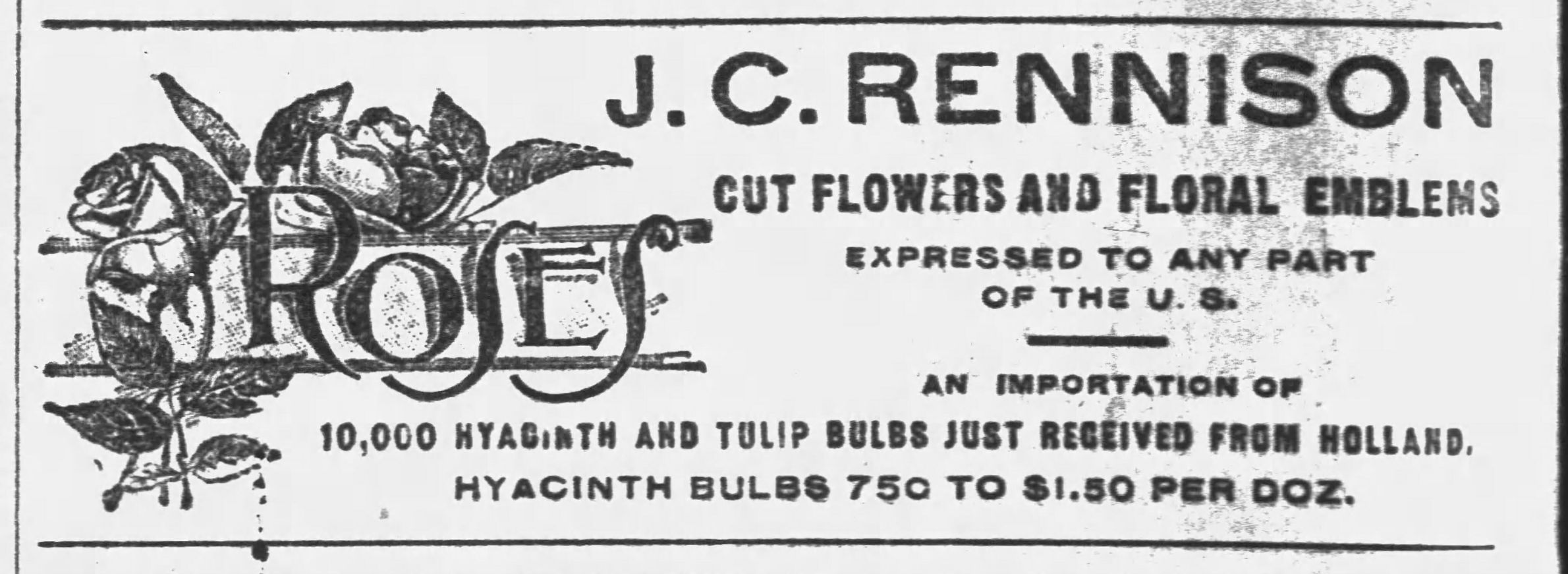 Journal ads from the old days: Oct. 17, 1894